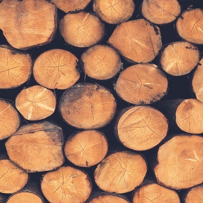 Barela Timber Management