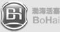 Bohai Automotive Systems Co., Ltd.