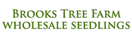 Brooks Tree Farm
