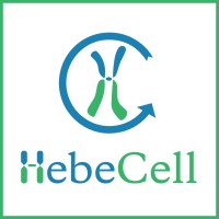 HebeCell Corp