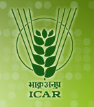 Indian Council