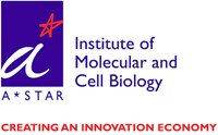 The Institute of Molecular & Cell Biology