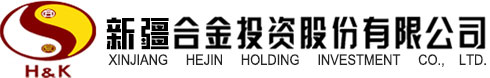 Xinjiang Hejin Holding