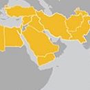 International civil society Action Network