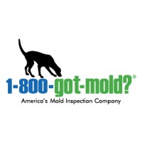 1-800-Got Mold?