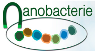 Nanobacterie