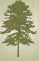 Jordan Lumber & Supply
