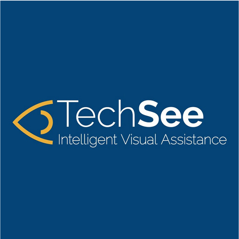 Techsee Augmented Vision Ltd.
