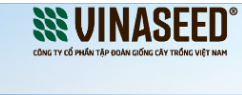 Vinaseed