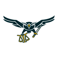 High Tech Crime Institute