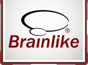 Brainlike, Inc.