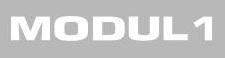 Modul 1 Data