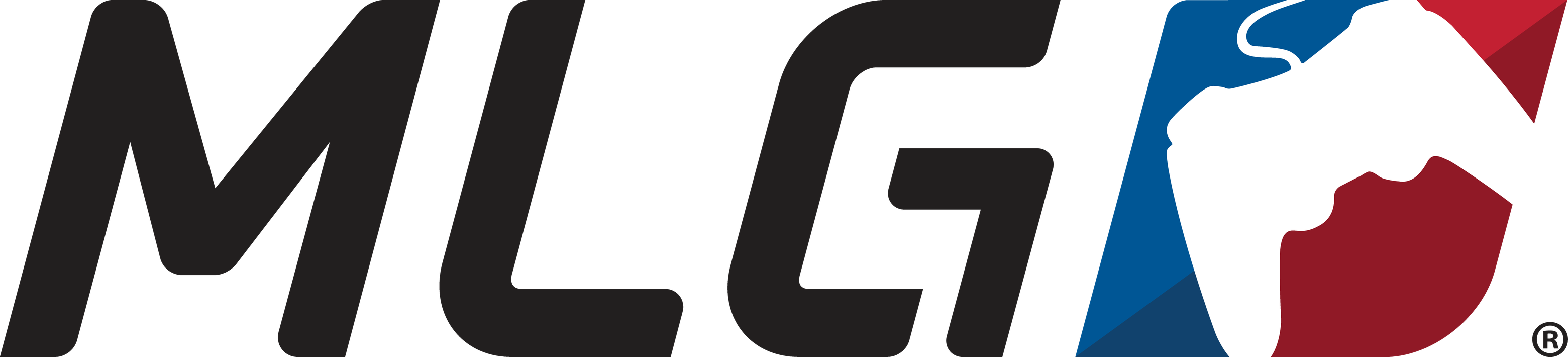 MLG Legacy Holdings
