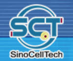 Sinocelltech Group Ltd.