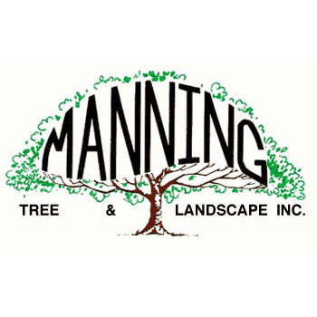 Manning Tree Landscape