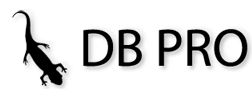 DB Pro Oy