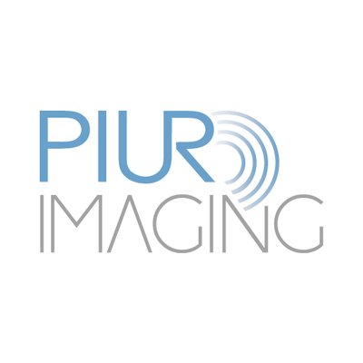 Piur Imaging GmbH