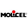 E-One Moli Energy (Canada) Ltd.