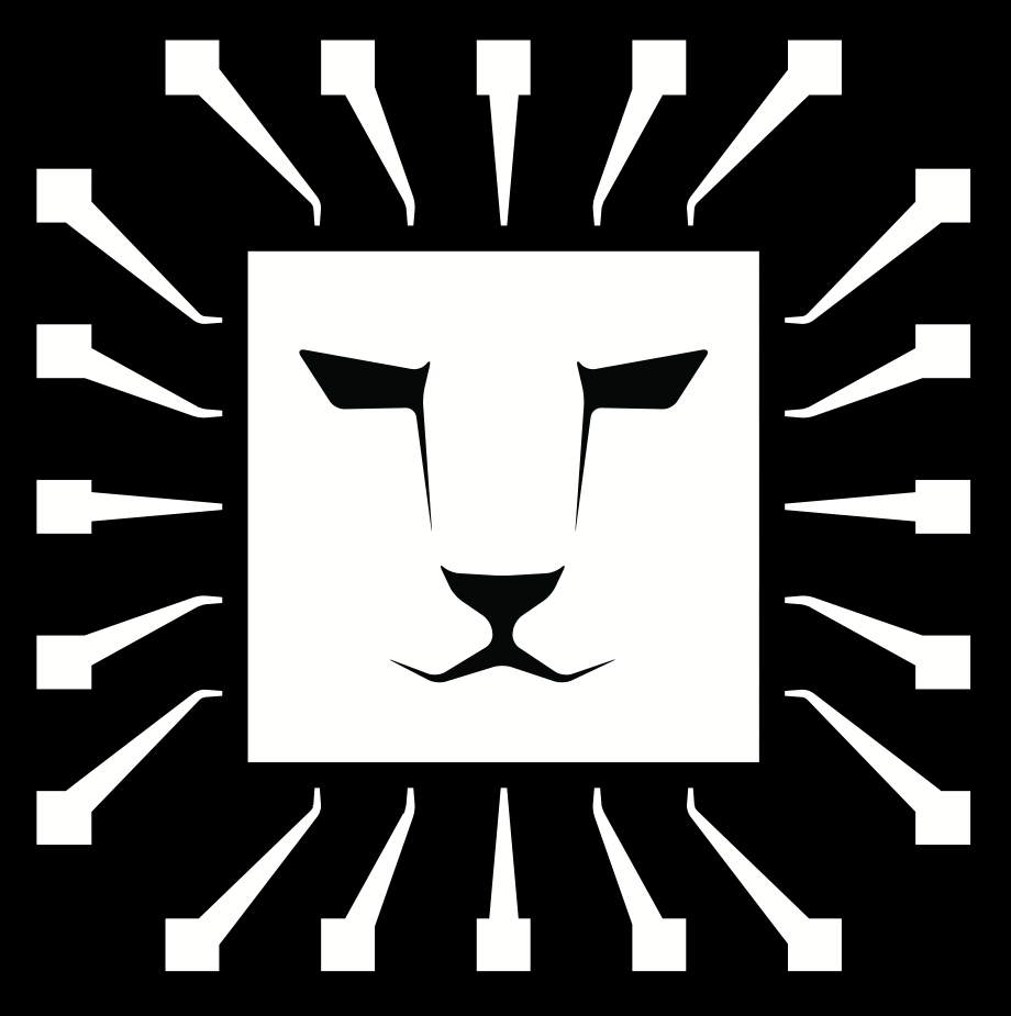 Lion Semiconductor, Inc.