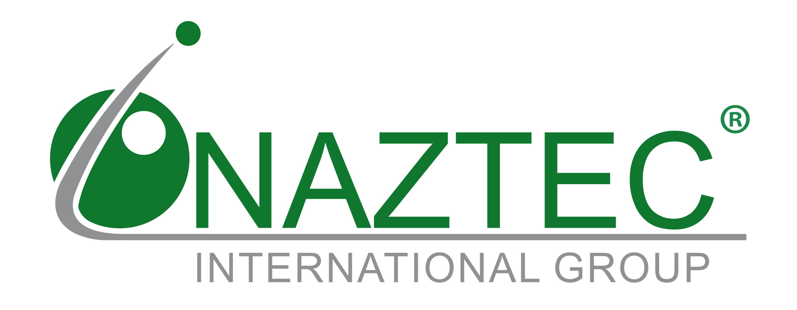 NAZTEC International Group LLC