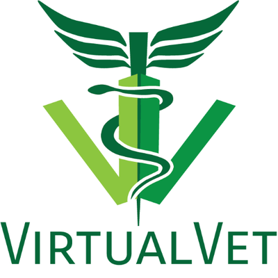 VirtualVet