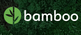 Bamboo Systems Group Ltd.