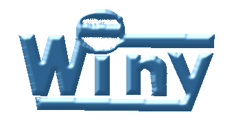 Winy Commcl & Fiscal Svcs