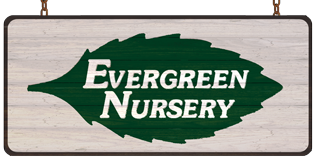 Evergreen Nursery Corp.