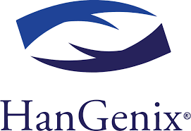 HanGenix Solutions