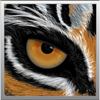 Tigerbrain Engineering