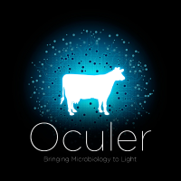 Oculer Ltd.