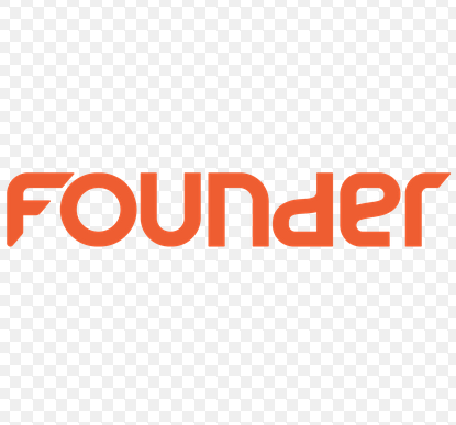 Founder Technology Group Co., Ltd.