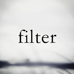FILTER LLC