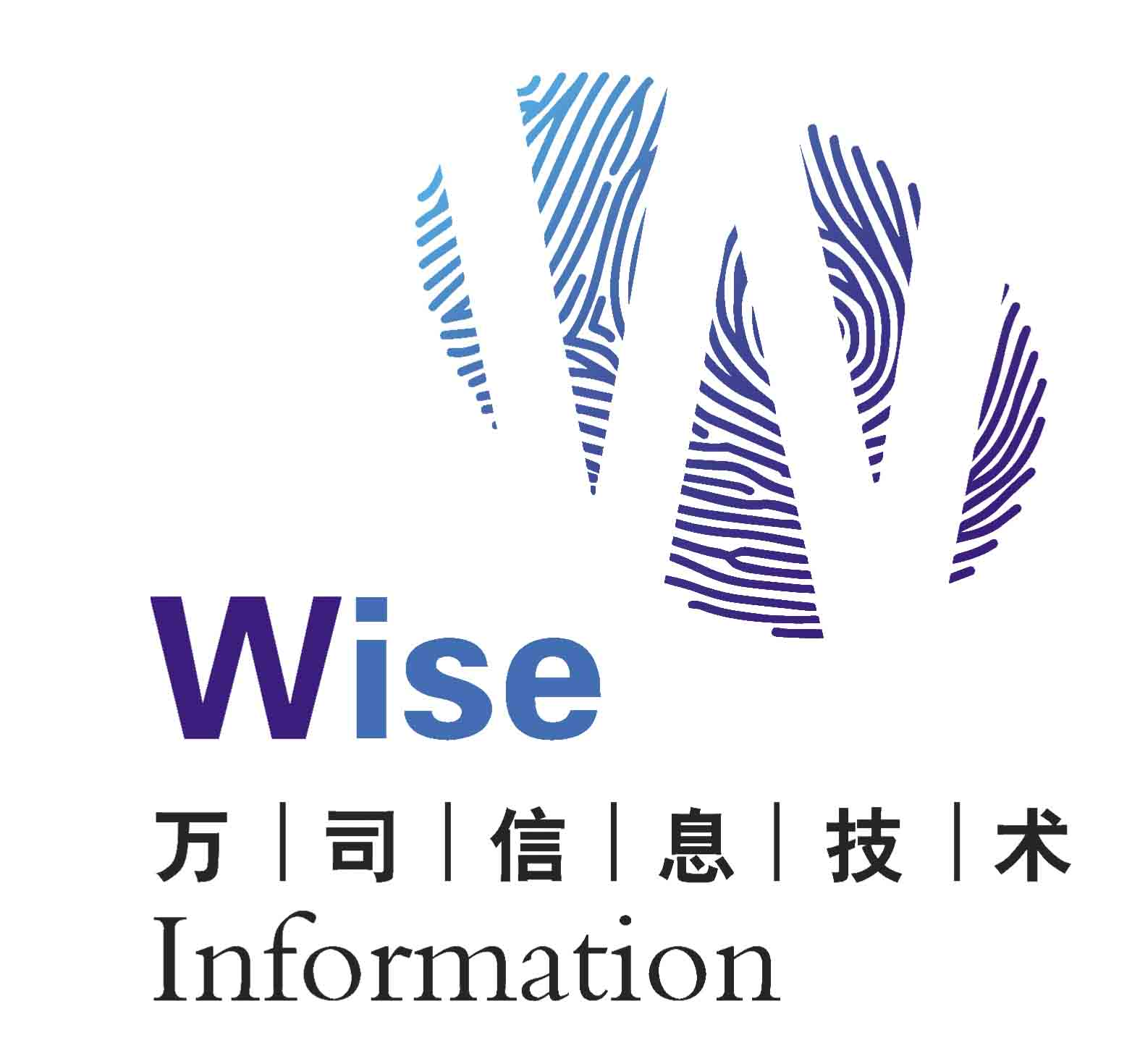 Wise Information Technology