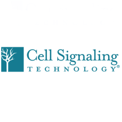 Cell Signaling Tech