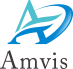 Amvis Holdings