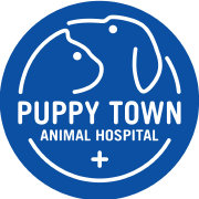 Beijing Puppy Town Animal