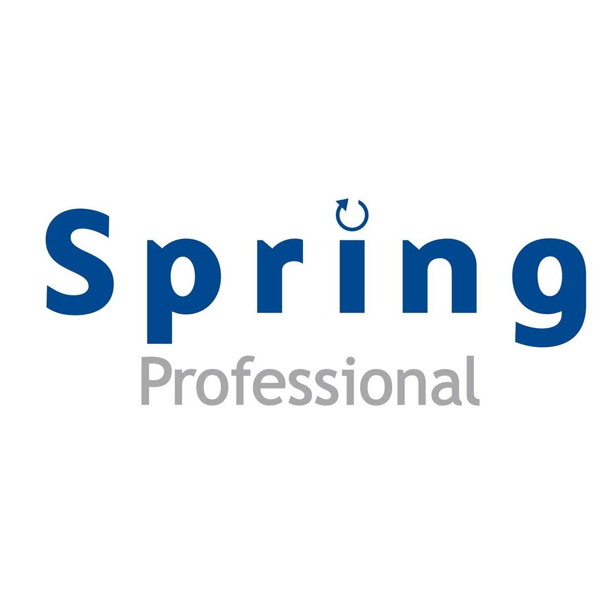 Spring Professional