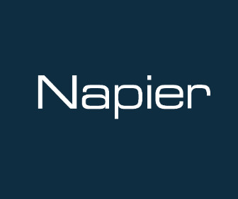 Napier Partnership Ltd.