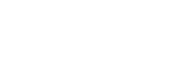 Higher Information Group