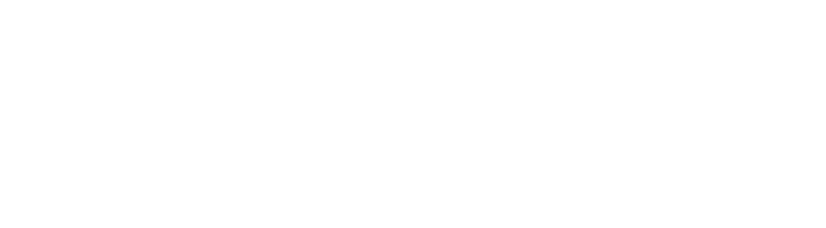 Shanghai Eliansy Industry Group Corp. Ltd.