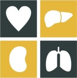 Organ Preservation Alliance