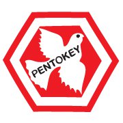 Pentokey Organy India