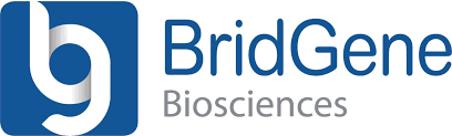 Bridgene Biosciences, Inc.