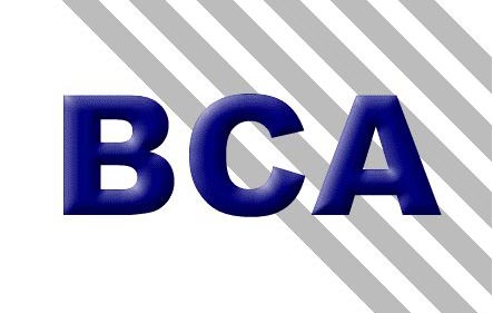 B.C.A. Group Ltd.