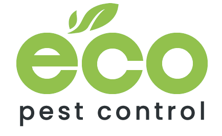 Eco Pest Control Brisbane