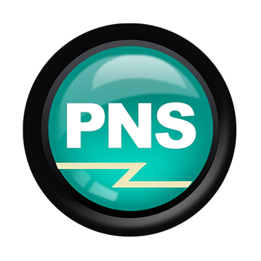 Professional Network Svcs