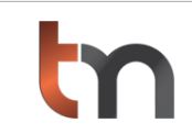 Trigon Metals