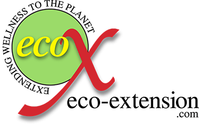 Eco Extention